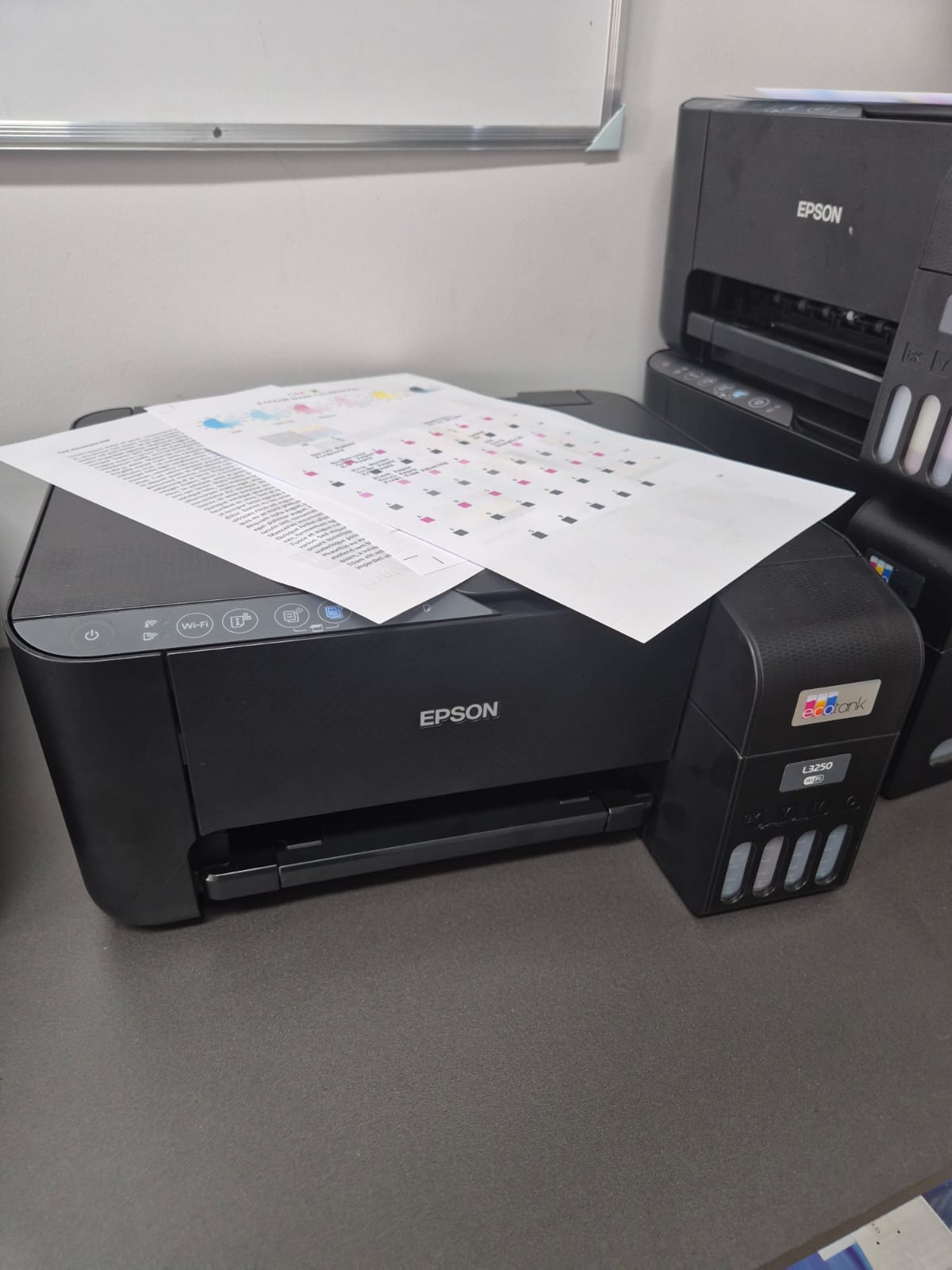 WhatsApp Image 2025-08-14 at 18.20.12 (3)